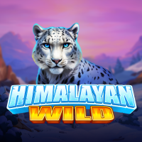 Himalayan Wild, Slots
