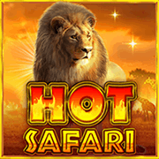 Hot Safari, Slots