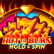Hot to Burn Hold and Spin, Slots
