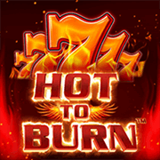 Hot to Burn, Slots