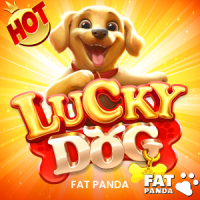 Lucky Dog, Slots