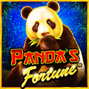 Panda's Fortune, Slots