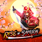 Rise of Samurai, Slots