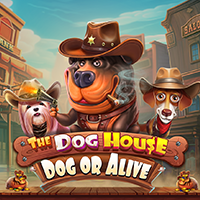 The Dog House – Dog or Alive, Slots