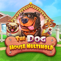 The Dog House Multihold, Slots