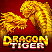 The Dragon Tiger, Slots