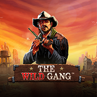 The Wild Gang, Slots