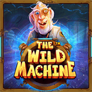 The Wild Machine, Slots