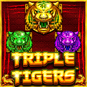 Triple Tigers, Slots