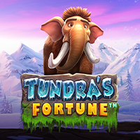 Tundra’s Fortune, Slots