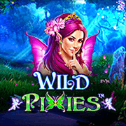 Wild Pixies, Slots