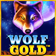 Wolf Gold, Slots
