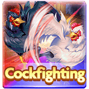 CockFighting, Card Games