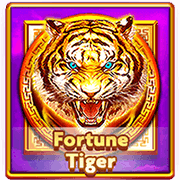 Fortune Tiger, Slots
