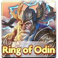 Ring of Odin, Slots