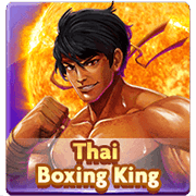 Thai Boxing King, Slots