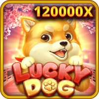 Lucky Dog, Slots