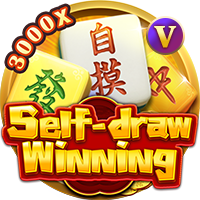 Self-draw winning 2, Slots